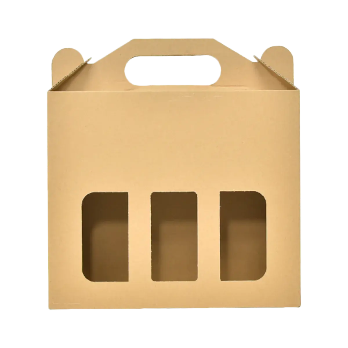 Packaging Toples_14